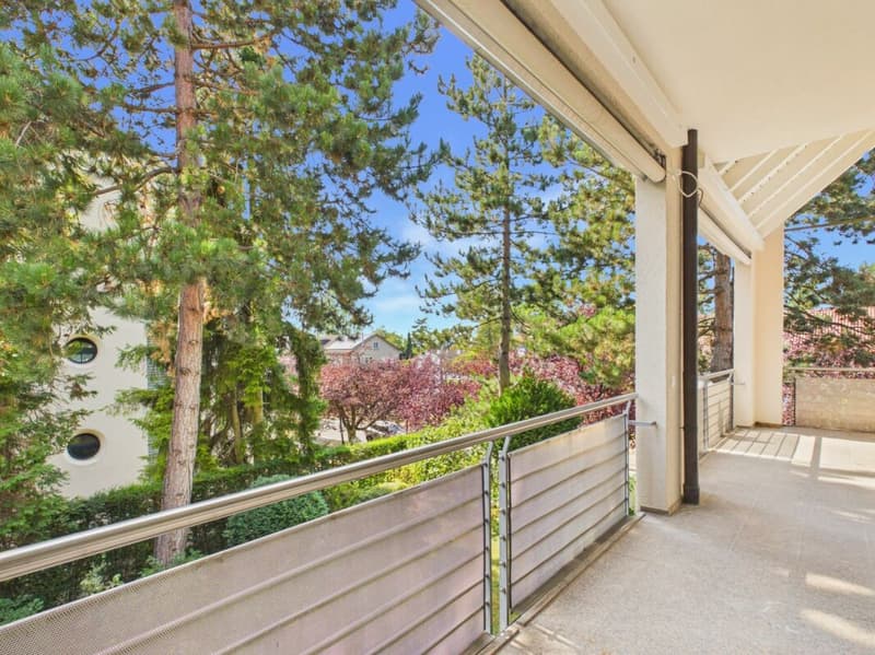 Stilvolles Wohnen auf dem Bruderholz mit Cheminée, Balkon, Terrasse und Ziergarten (18)