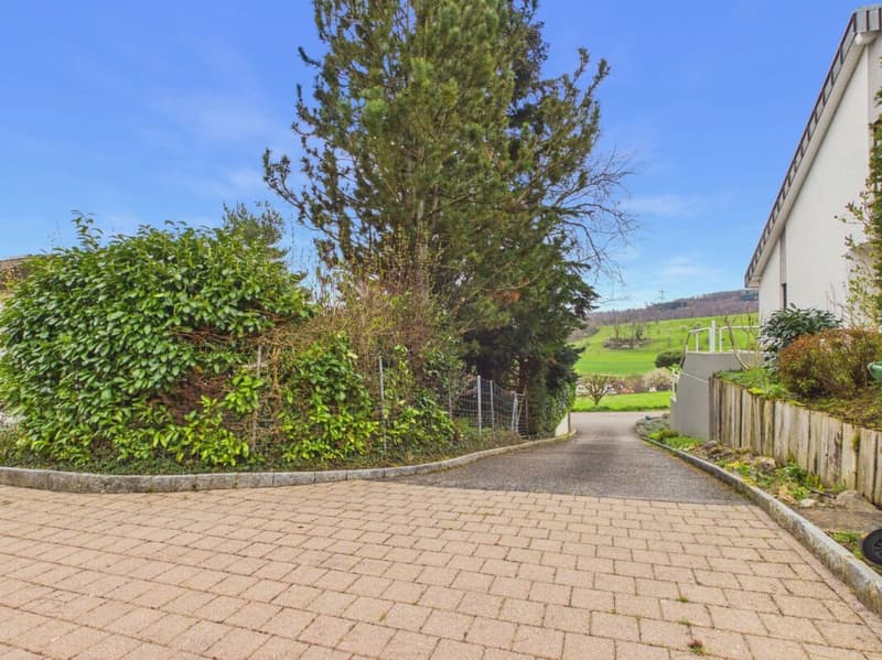 Luxuriöse Villa mit unverbaubarer Aussicht und viel Privatsphäre in Frenkendorf (28)
