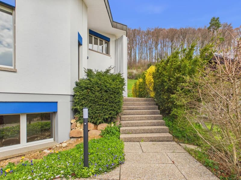 Luxuriöse Villa mit unverbaubarer Aussicht und viel Privatsphäre in Frenkendorf (4)