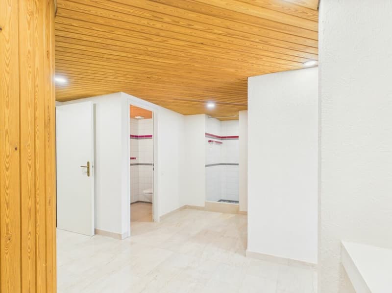 Luxuriöse Villa mit unverbaubarer Aussicht und viel Privatsphäre in Frenkendorf (23)