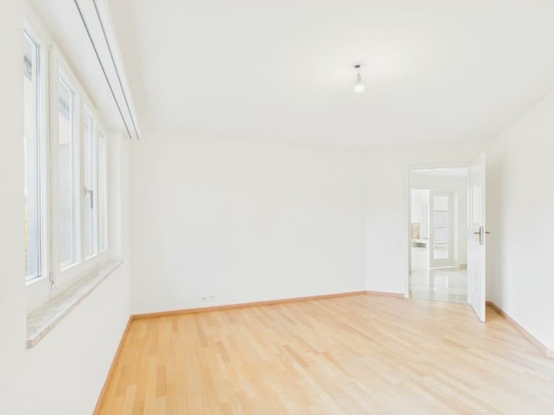 Luxuriöse Villa mit unverbaubarer Aussicht und viel Privatsphäre in Frenkendorf (6)
