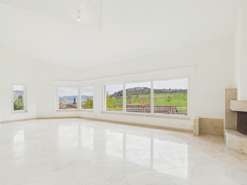 Luxuriöse Villa mit unverbaubarer Aussicht und viel Privatsphäre in Frenkendorf (8)