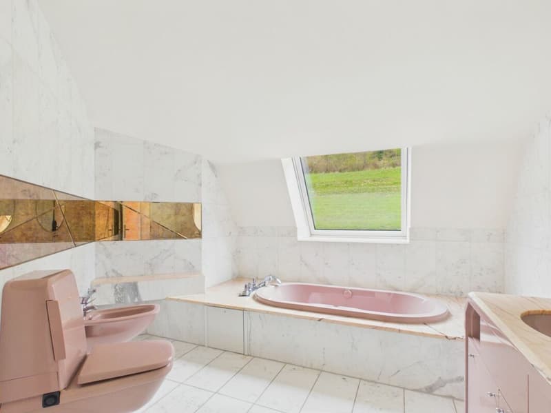 Luxuriöse Villa mit unverbaubarer Aussicht und viel Privatsphäre in Frenkendorf (20)
