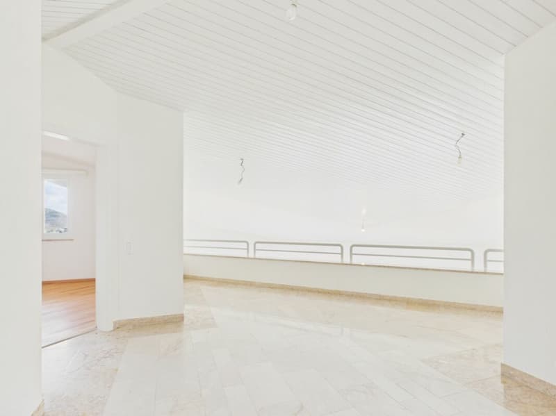 Luxuriöse Villa mit unverbaubarer Aussicht und viel Privatsphäre in Frenkendorf (17)