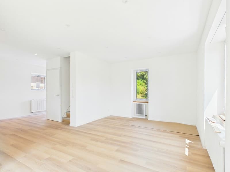 Erstbezug: Komplett saniertes 4.5-Zimmer-Einfamilienhaus mit grossem Garten & viel Freiraum (3)