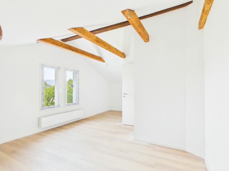 Erstbezug: Komplett saniertes 4.5-Zimmer-Einfamilienhaus mit grossem Garten & viel Freiraum (4)