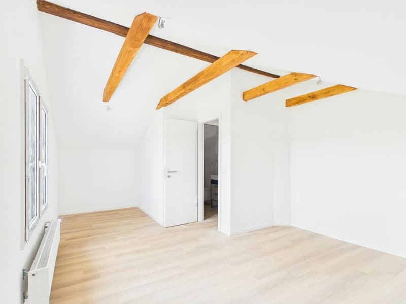 Erstbezug: Komplett saniertes 4.5-Zimmer-Einfamilienhaus mit grossem Garten & viel Freiraum (7)