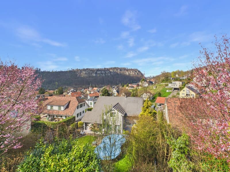 Offenes Wohnen mit Weitblick und unverbaubarer Aussicht (14)