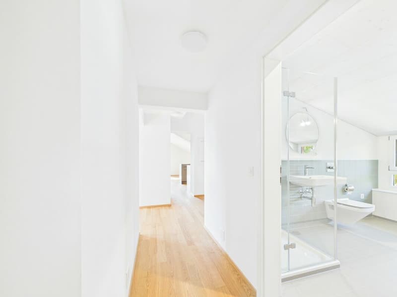 Sehr grosszügige, lichtdurchflutete, frisch renovierte Dachwohnung (7)