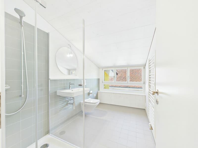 Sehr grosszügige, lichtdurchflutete, frisch renovierte Dachwohnung (8)