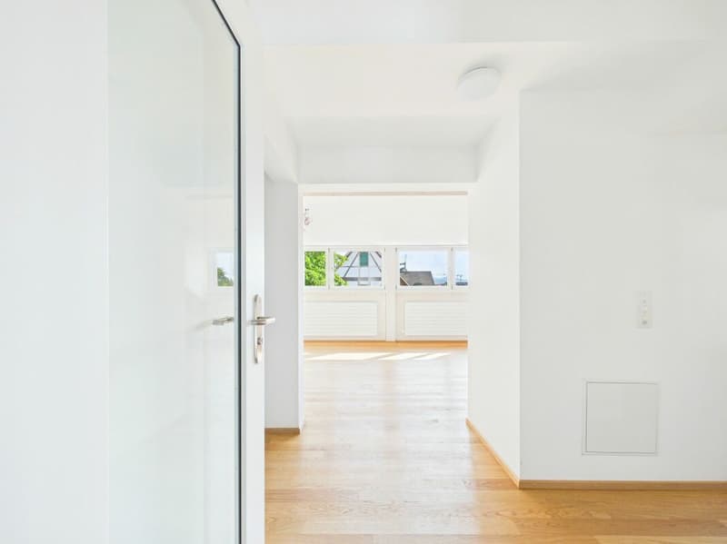 Sehr grosszügige, lichtdurchflutete, frisch renovierte Dachwohnung (13)