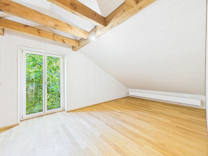 Sehr grosszügige, lichtdurchflutete, frisch renovierte Dachwohnung (11)