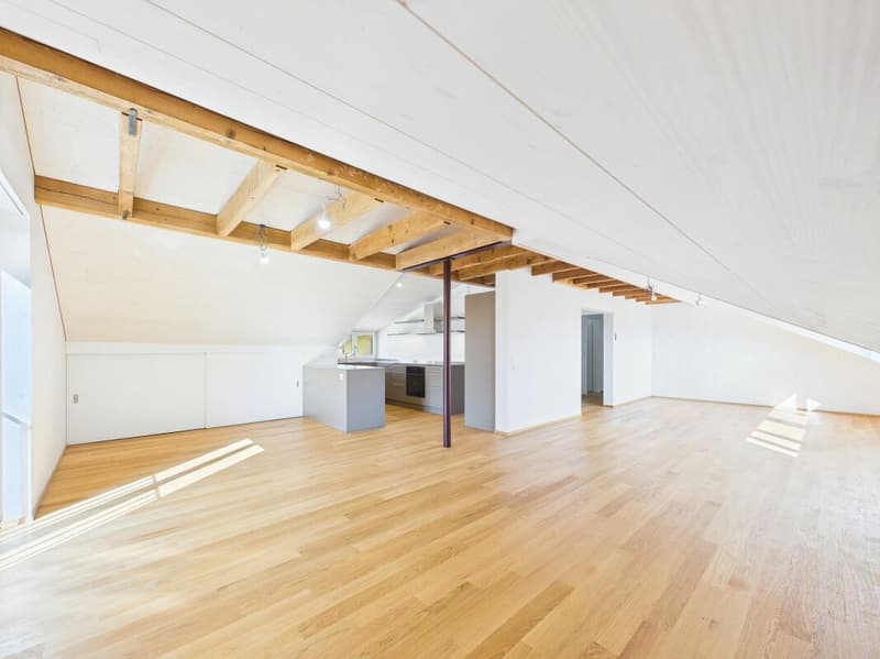 Sehr grosszügige, lichtdurchflutete, frisch renovierte Dachwohnung (6)