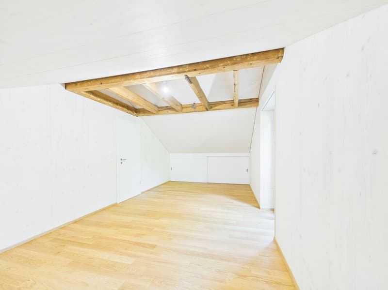 Sehr grosszügige, lichtdurchflutete, frisch renovierte Dachwohnung (12)