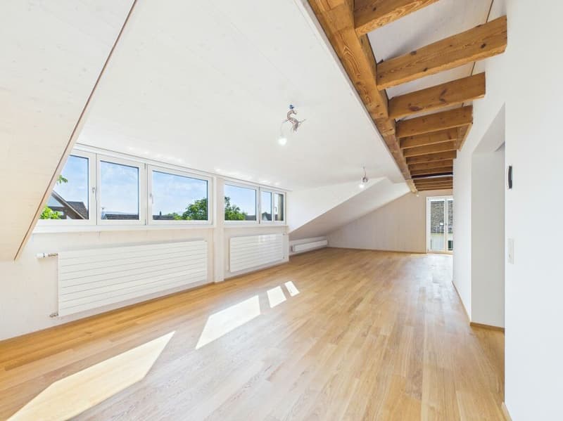 Sehr grosszügige, lichtdurchflutete, frisch renovierte Dachwohnung (10)