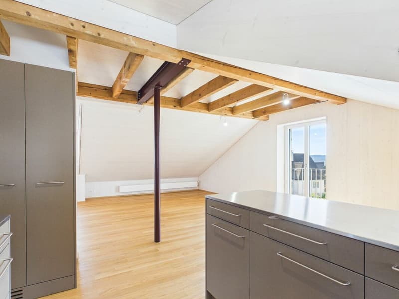 Sehr grosszügige, lichtdurchflutete, frisch renovierte Dachwohnung (5)