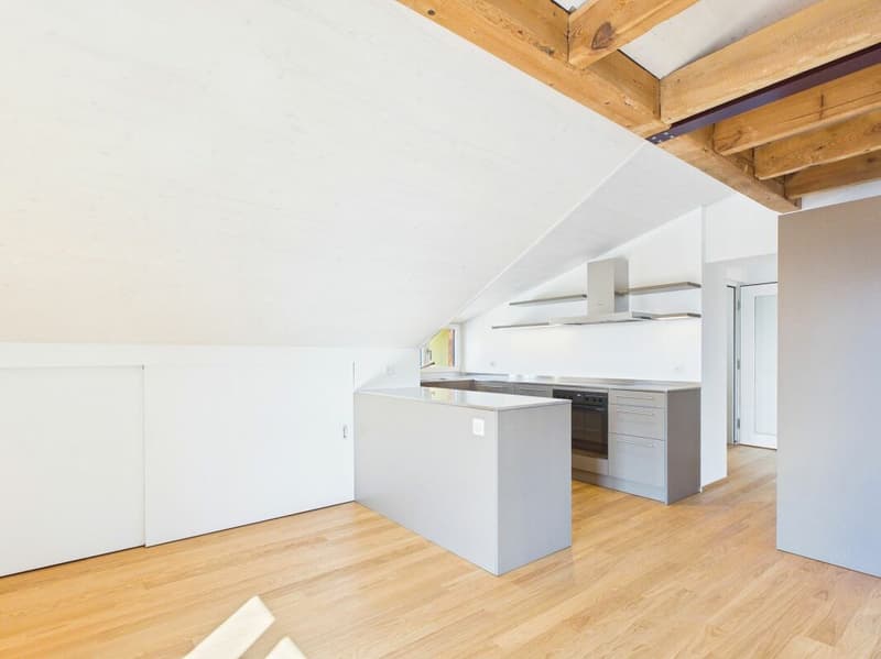 Sehr grosszügige, lichtdurchflutete, frisch renovierte Dachwohnung (3)