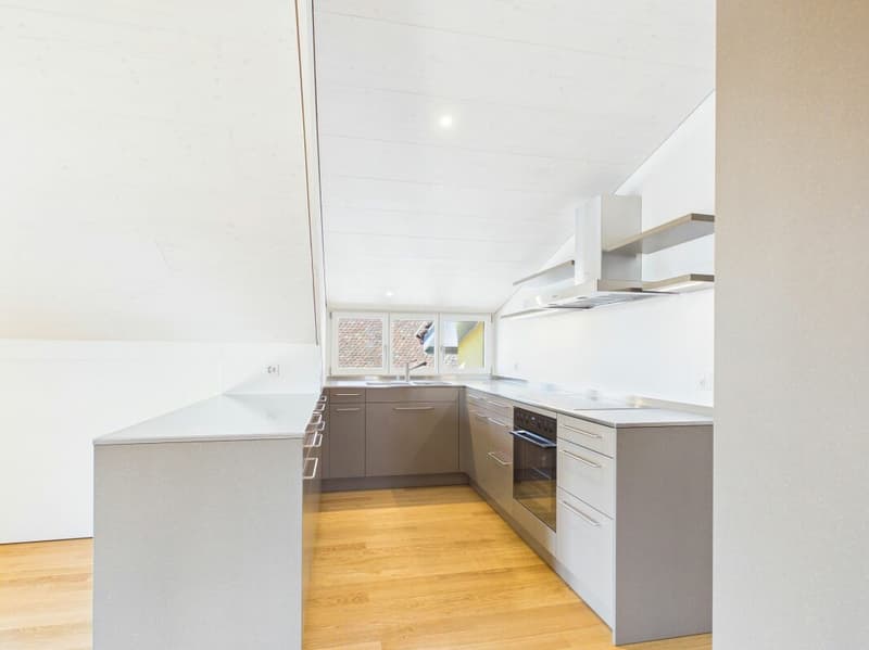 Sehr grosszügige, lichtdurchflutete, frisch renovierte Dachwohnung (4)