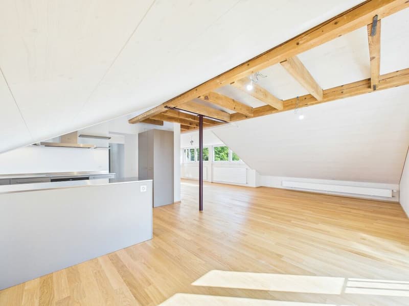 Sehr grosszügige, lichtdurchflutete, frisch renovierte Dachwohnung (9)
