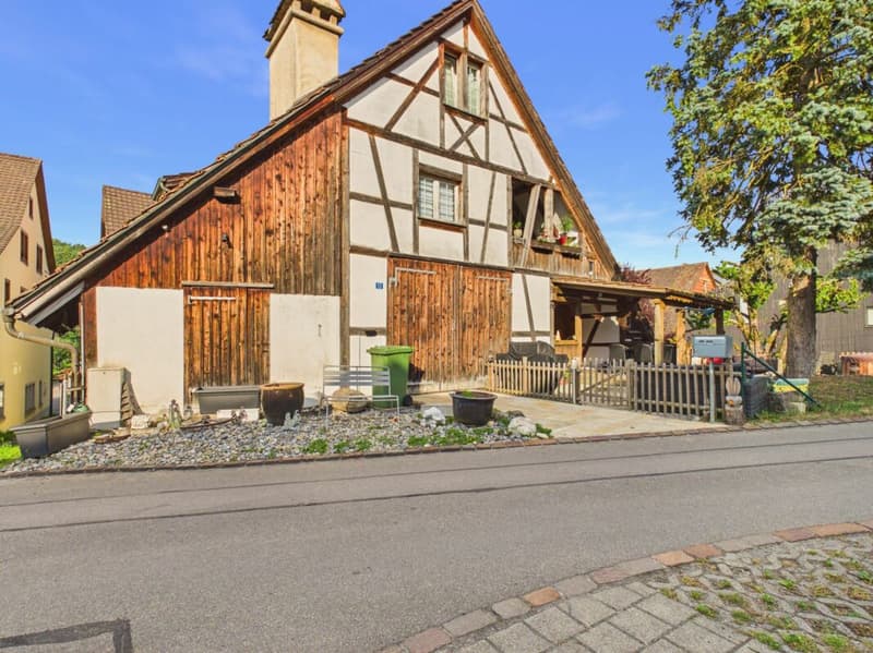 Grosszügiges Mehrfamilienhaus mit Gewerbeeinheit (3)