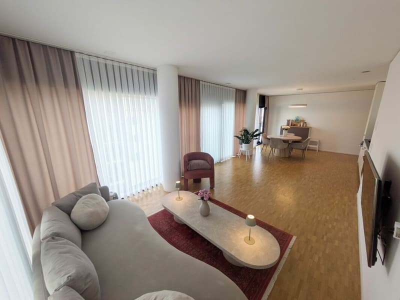 Möblierte Wohnung im Claraturm zur befristeten Untermiete in Basel (8)