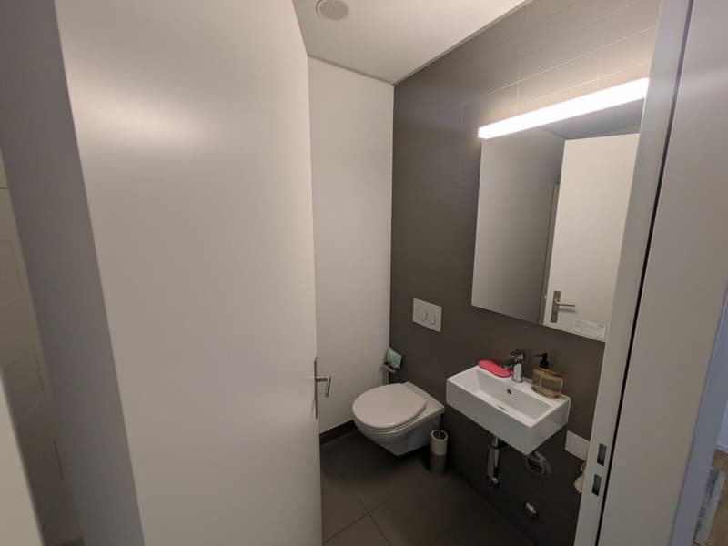 Möblierte Wohnung im Claraturm zur befristeten Untermiete in Basel (5)
