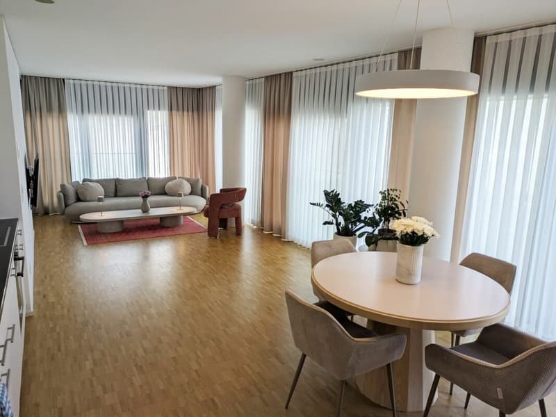 Möblierte Wohnung im Claraturm zur befristeten Untermiete in Basel (13)