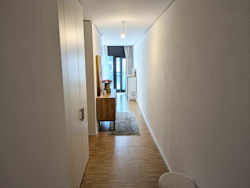 Möblierte Wohnung im Claraturm zur befristeten Untermiete in Basel (9)