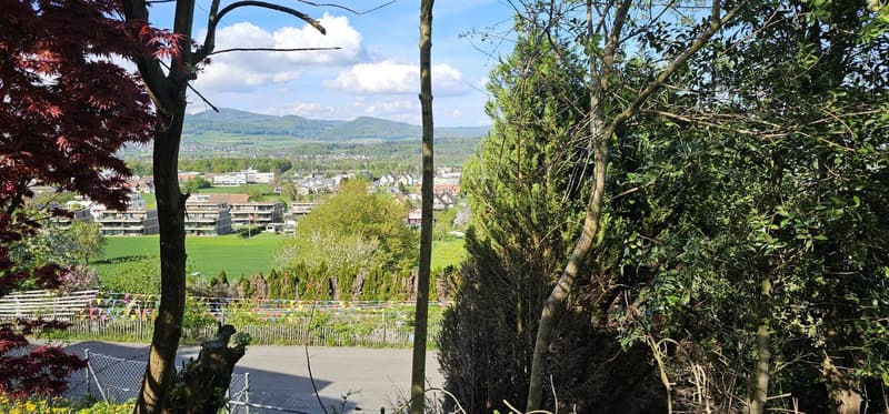 Renovated single-family home with a view of the Jura mountain range! (17)