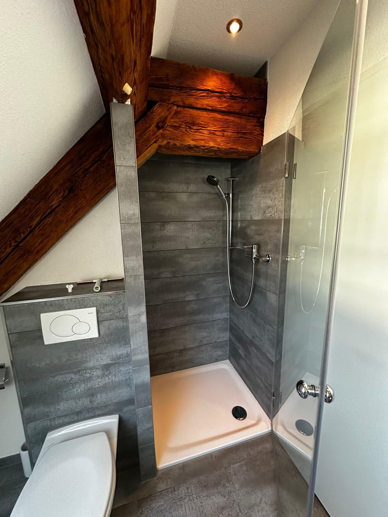 2.5-Zimmer Dachwohnung im Herzen von Balsthal (7)