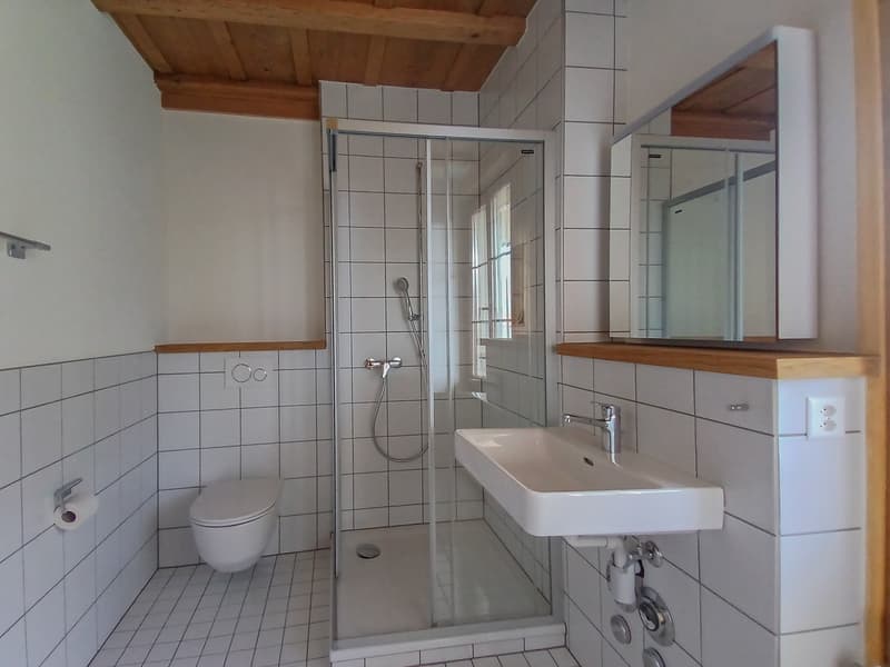 Ihr Wohntraum im Zentrum von Wünnewil (3)