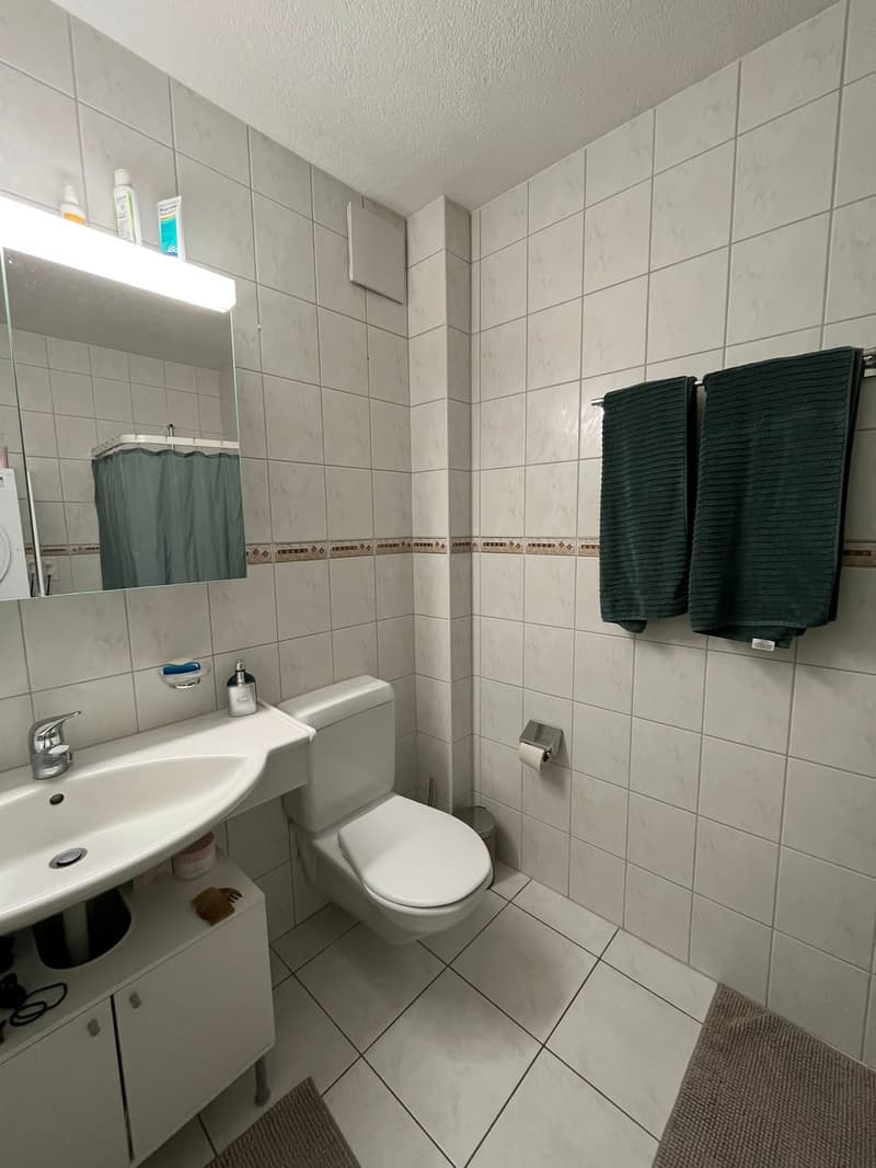 2-Zimmer Altstadtwohnung / Appartement 2 pièces en basse ville (5)