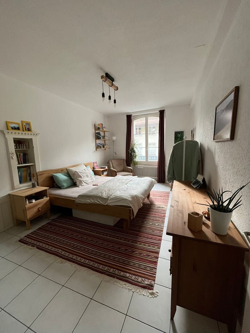 2-Zimmer Altstadtwohnung / Appartement 2 pièces en basse ville (3)