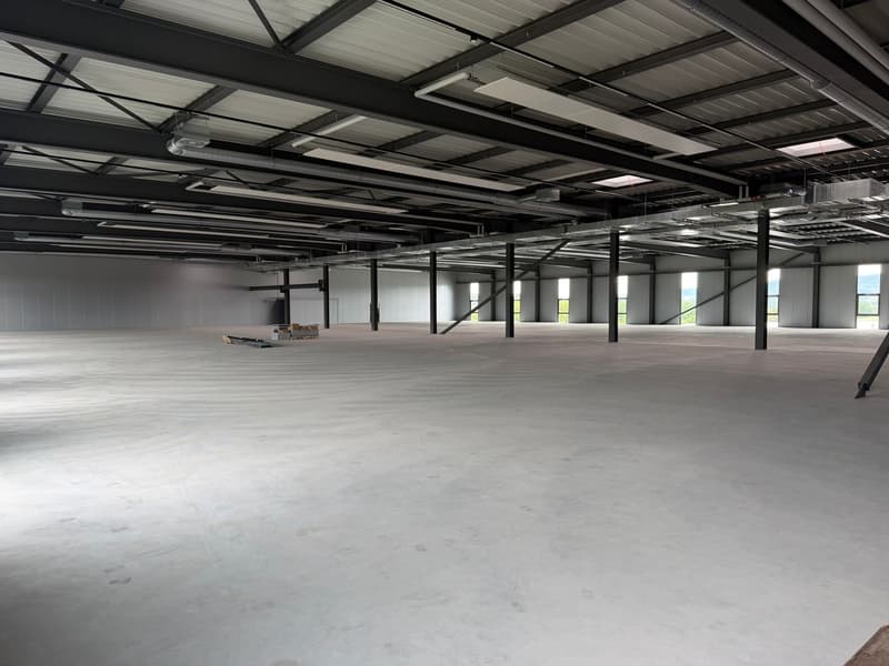 Surfaces multisports : modulables dès 270 m² (jusquà 1'900 m²) à Saint-Aubin (4)
