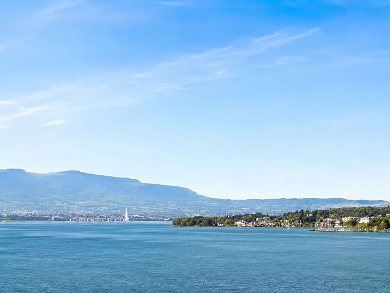 VENTE CONFIDENTIELLE | TERRASSE ET VUE PANORAMIQUE SUR LE LAC (2)