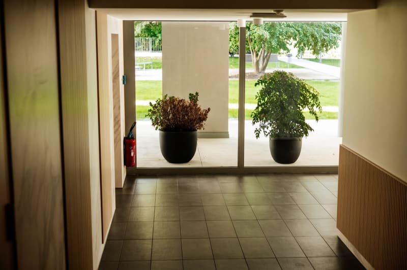Superbe appartement dans un écrin de verdure (4)
