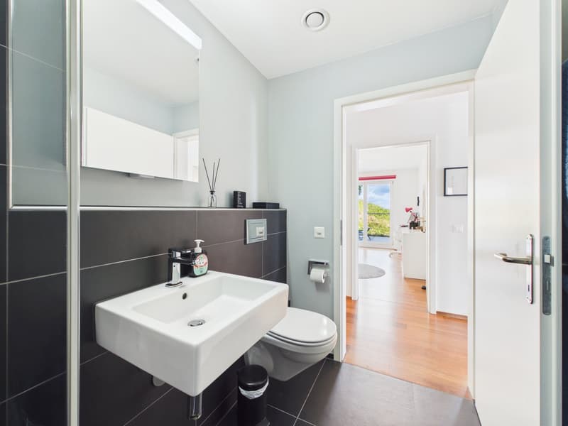 Exklusive Terrassenwohnung mit unverbaubarer Weitsicht (11)