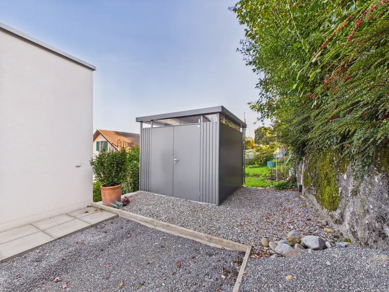 shed next to building, surrounded by pebble driveway, plant in brown pot, wall covered in moss