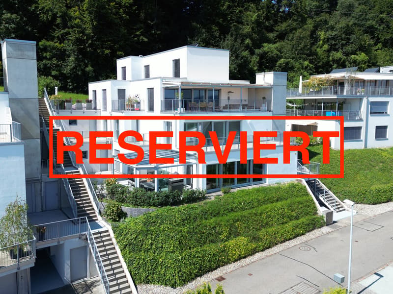 Terrassenjuwel mit Weitblick über Zürich (1)