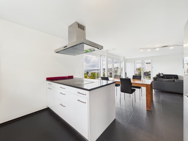 Terrassenjuwel mit Weitblick über Zürich (8)