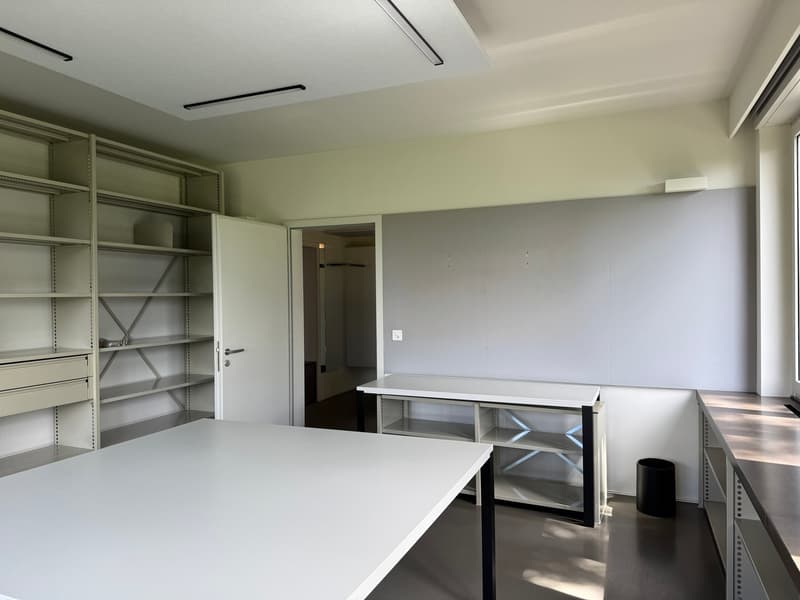 empty room, white walls, white ceiling, white shelves, white desk, open door, trash bin