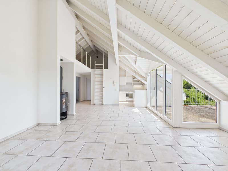 Exklusive Dachwohnung an unverbaubarer Bestlage (8)