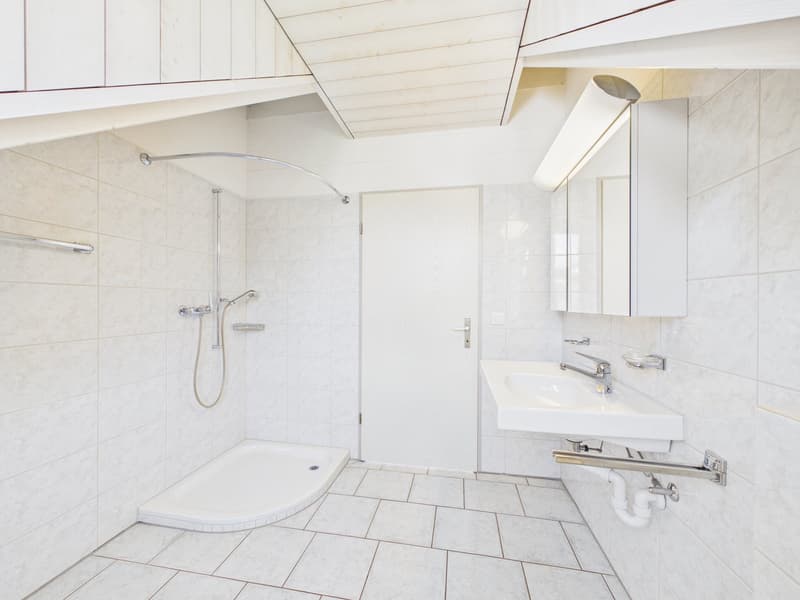 Exklusive Dachwohnung an unverbaubarer Bestlage (13)