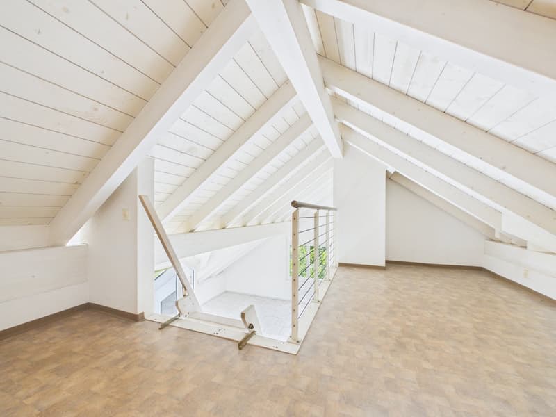 Exklusive Dachwohnung an unverbaubarer Bestlage (15)
