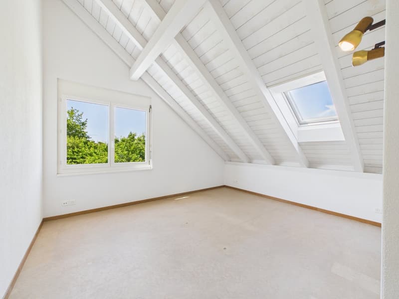 Exklusive Dachwohnung an unverbaubarer Bestlage (11)