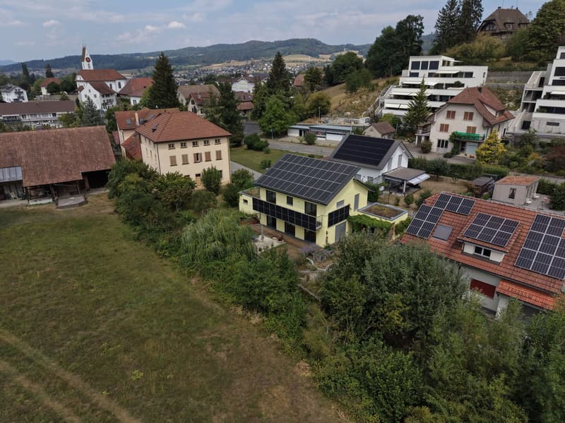 Gepflegtes Einfamilienhaus direkt am Bach, mit Blick ins Grüne (3)
