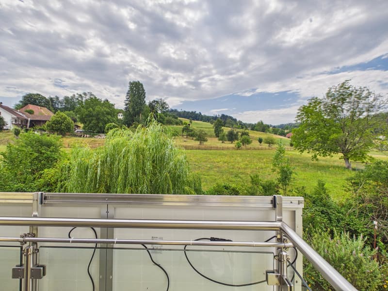 Gepflegtes Einfamilienhaus direkt am Bach, mit Blick ins Grüne (23)