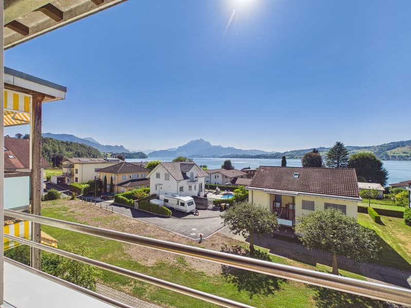 Traumhafte See- und Bergsicht am Fusse der Rigi (9)