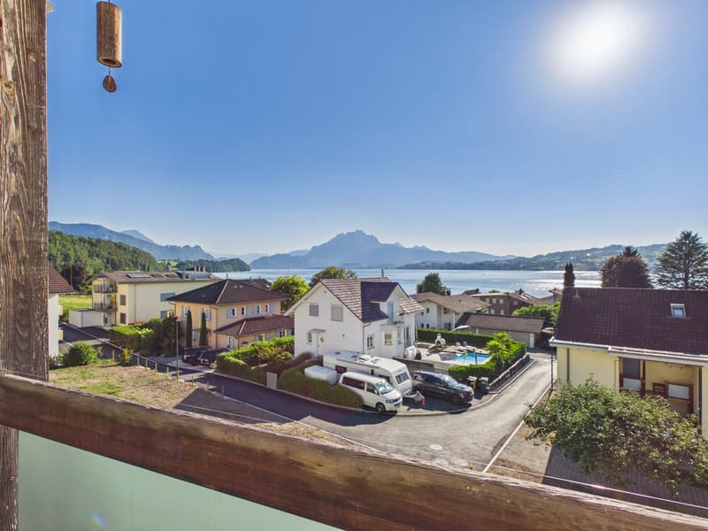 Traumhafte See- und Bergsicht am Fusse der Rigi (18)