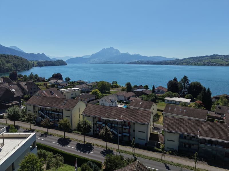 Traumhafte See- und Bergsicht am Fusse der Rigi (2)
